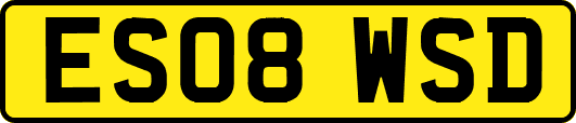 ES08WSD