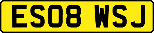 ES08WSJ