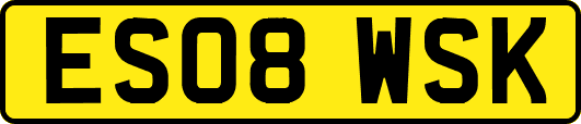 ES08WSK