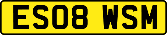 ES08WSM