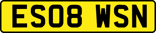 ES08WSN