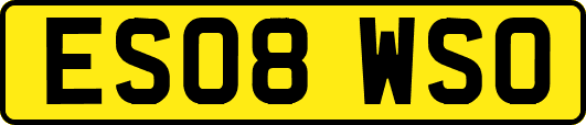 ES08WSO