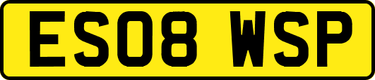 ES08WSP