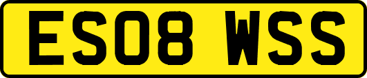 ES08WSS