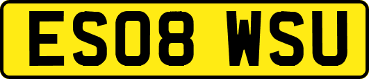 ES08WSU