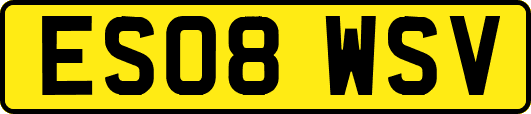 ES08WSV