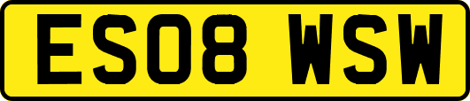 ES08WSW