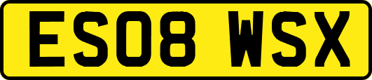 ES08WSX