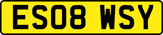 ES08WSY