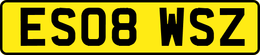 ES08WSZ