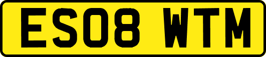 ES08WTM
