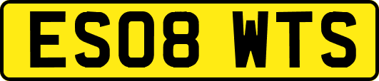 ES08WTS