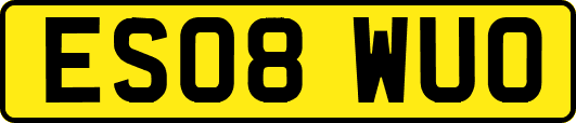 ES08WUO
