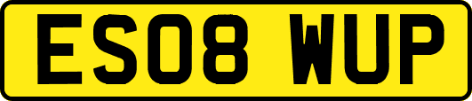 ES08WUP