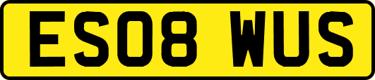 ES08WUS