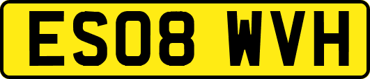 ES08WVH