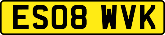 ES08WVK