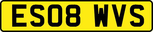 ES08WVS