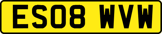 ES08WVW