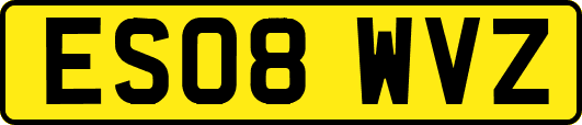 ES08WVZ