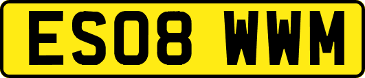 ES08WWM