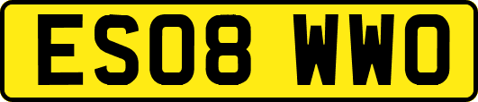 ES08WWO