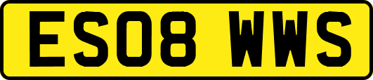 ES08WWS