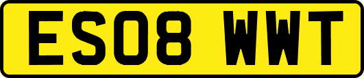 ES08WWT