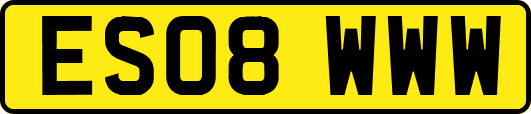 ES08WWW