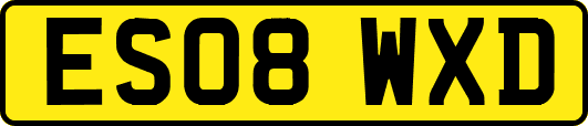 ES08WXD