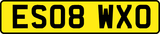 ES08WXO