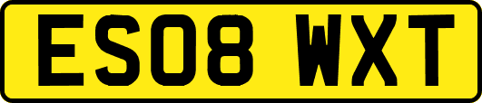 ES08WXT