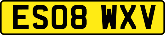 ES08WXV