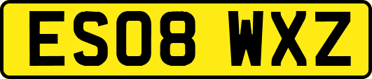 ES08WXZ