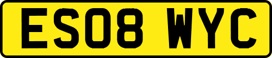 ES08WYC