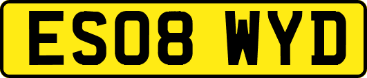 ES08WYD