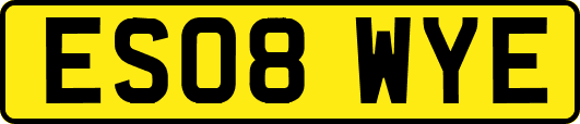 ES08WYE