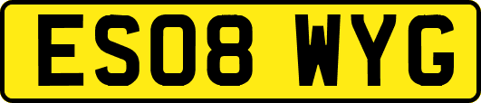 ES08WYG