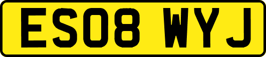 ES08WYJ