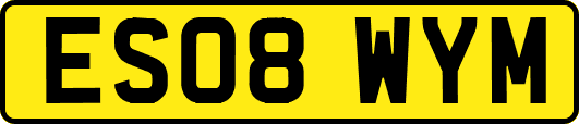 ES08WYM