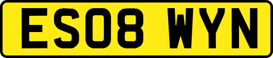 ES08WYN