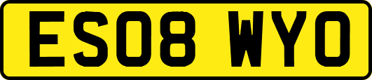 ES08WYO