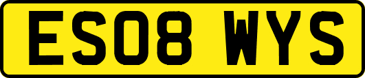 ES08WYS