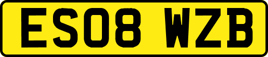 ES08WZB