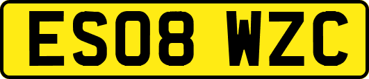 ES08WZC