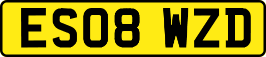 ES08WZD