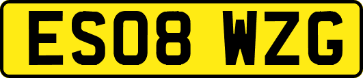 ES08WZG