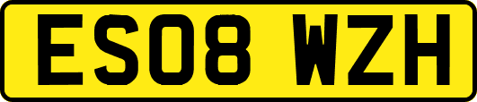 ES08WZH