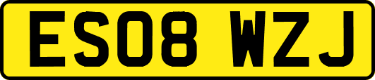 ES08WZJ
