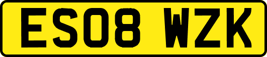 ES08WZK